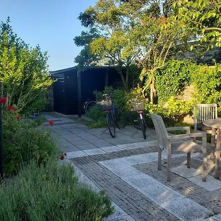 Zeelicht Holiday home *