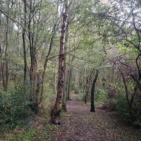 Feriehus Zeelicht Noordwijkerhout