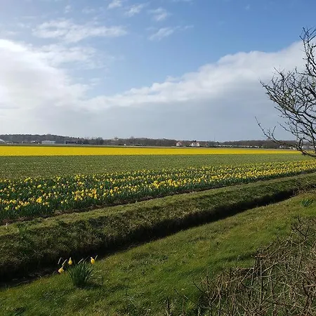 Zeelicht Vakantiehuis Noordwijkerhout