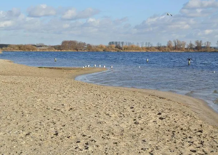 Zeelicht Noordwijkerhout