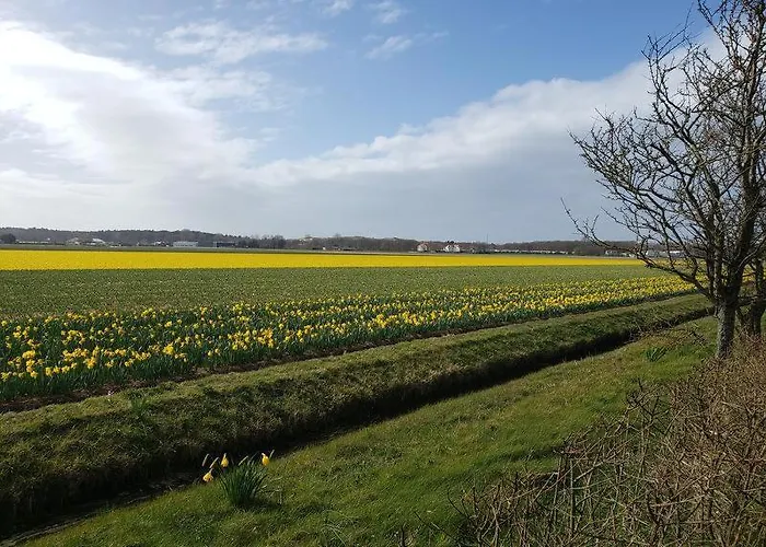 Zeelicht Dom wakacyjny Noordwijkerhout