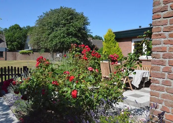 Tatil Evi Zeelicht Noordwijkerhout