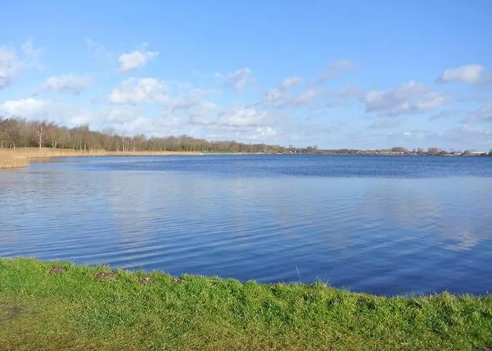 Tatil Evi Zeelicht Noordwijkerhout