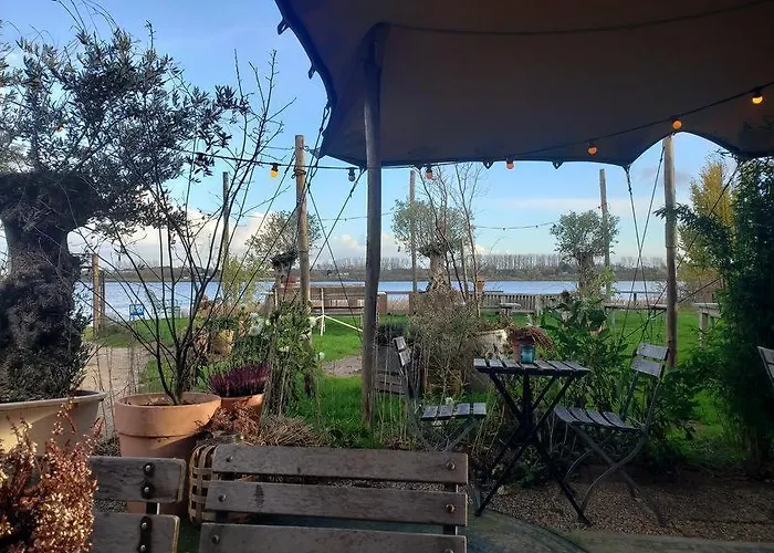 Zeelicht Noordwijkerhout