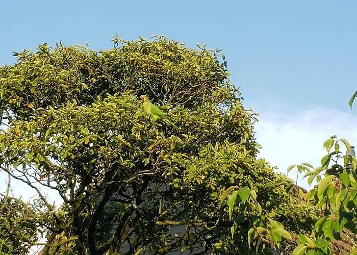 Zeelicht Dom wakacyjny Noordwijkerhout
