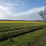 Zeelicht Nyaraló Noordwijkerhout