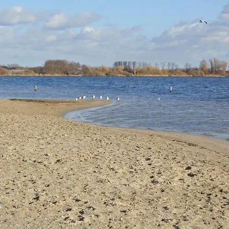 Zeelicht Noordwijkerhout